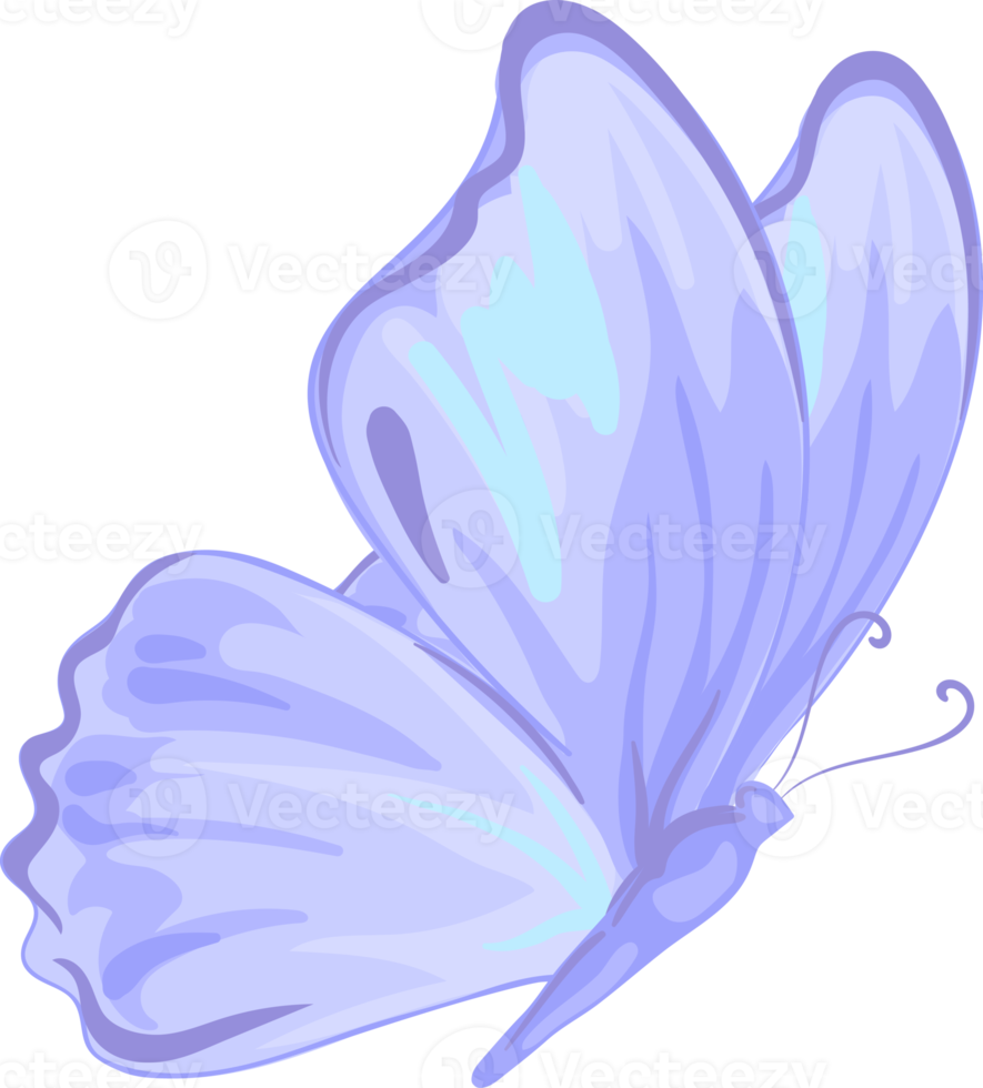 illustration Beautiful butterfly paint png