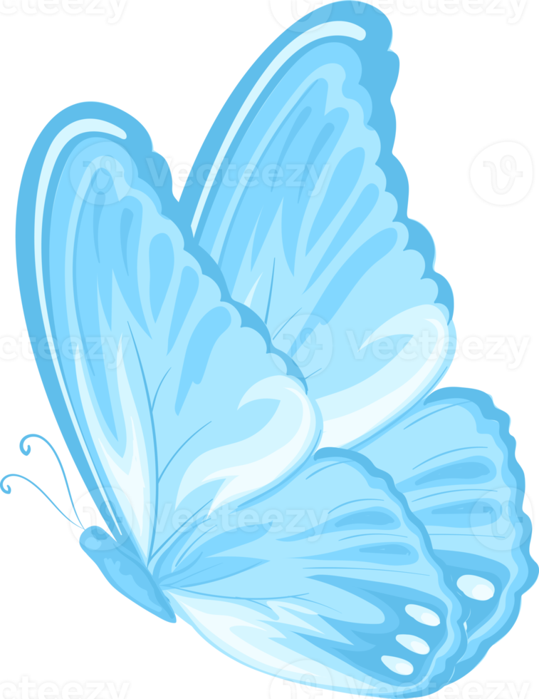 illustration Beautiful butterfly paint png