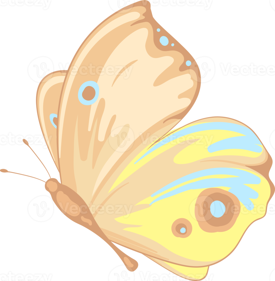 illustration Beautiful butterfly paint png