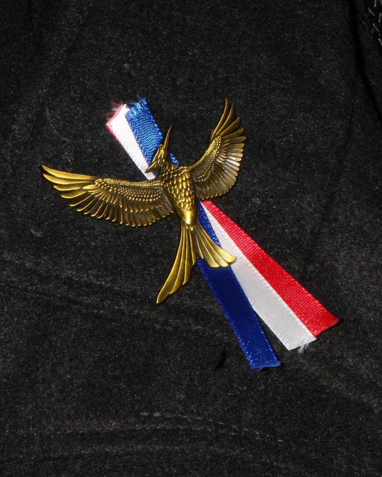 LOS ANGELES, NOV 16  Mockingjay emblem, with French flag colors in honor of ISIS victims at the The Hunger Games -Mockingjay Part 2 LA Premiere on November 16, 2015 in Los Angeles, CA photo
