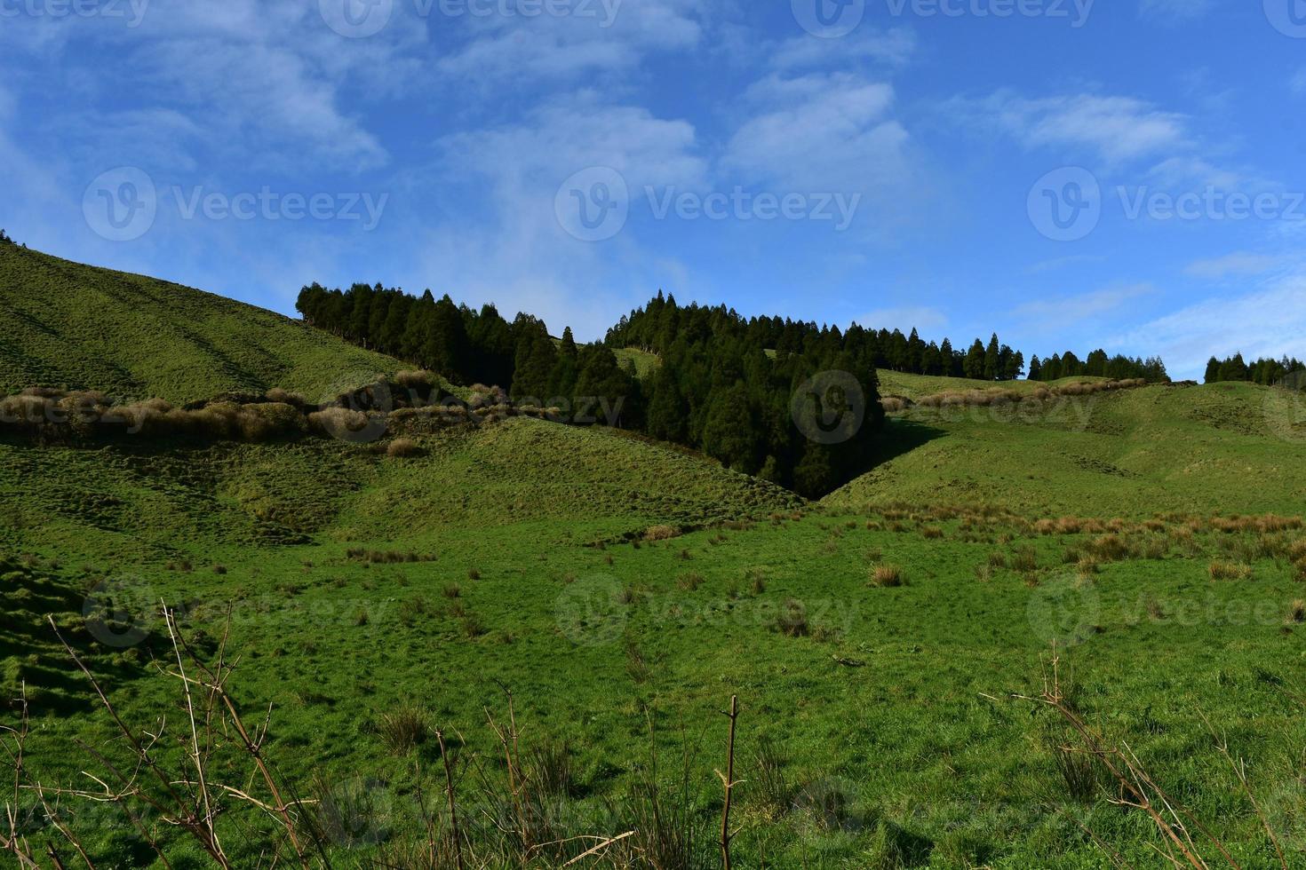 Gorgeous Green Grass with Rolling Hills in the Azores photo