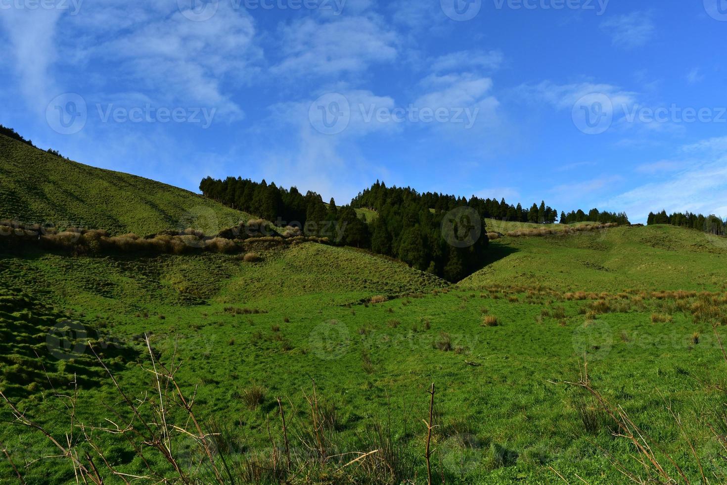 Stunning Scenic Fields with Lush Green Grass in the Azores photo