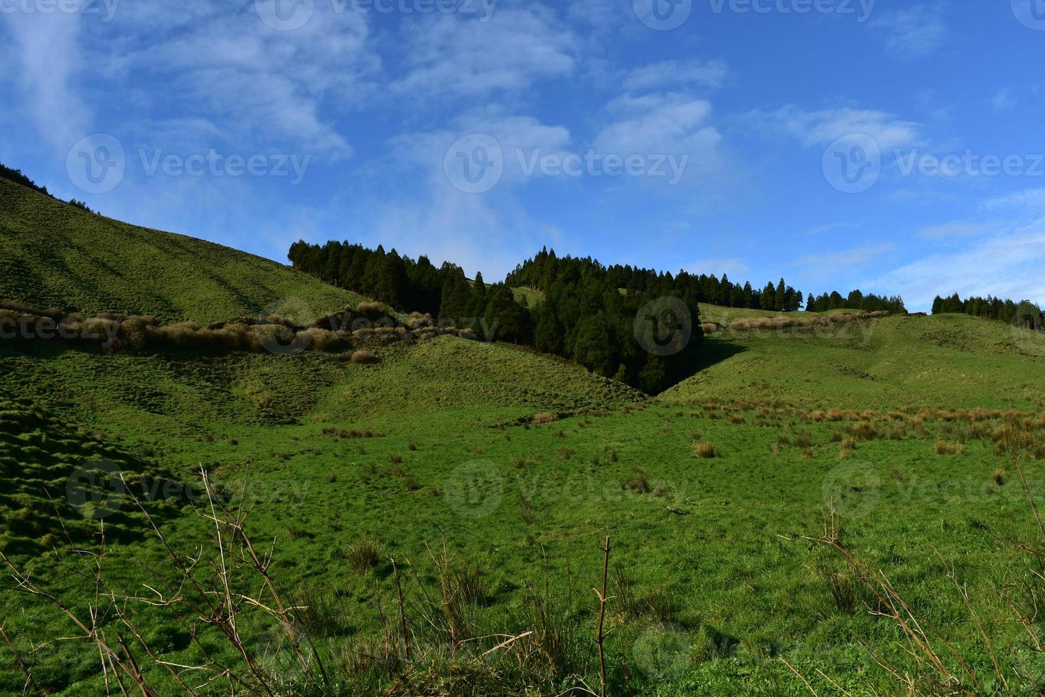 Gorgeous Rolling Grass Fields and Hills in the Azores photo