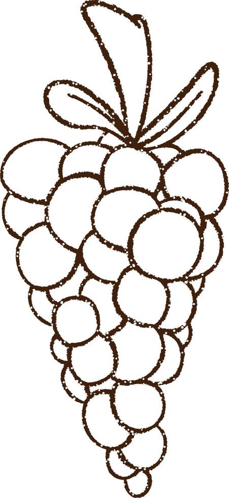 Grapes Charcoal Drawing vector