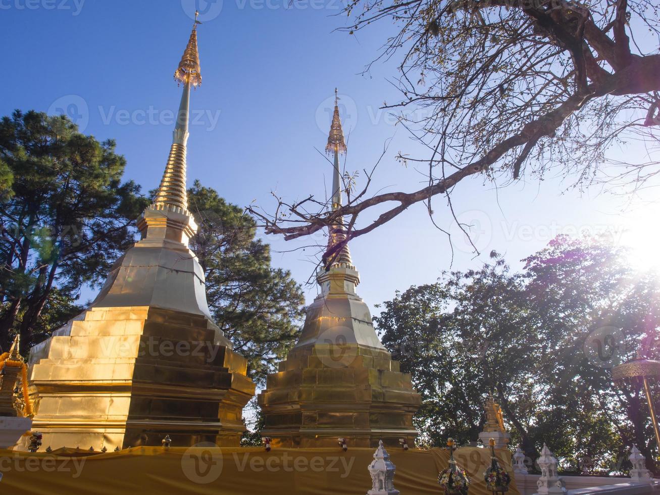 Pagoda of Wat Phra That Doi Tung photo