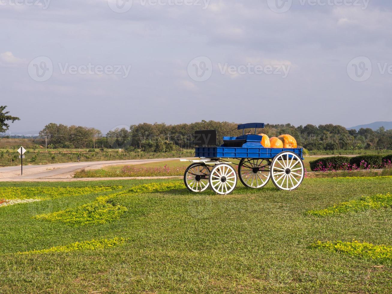 Colorful wagon in farm photo