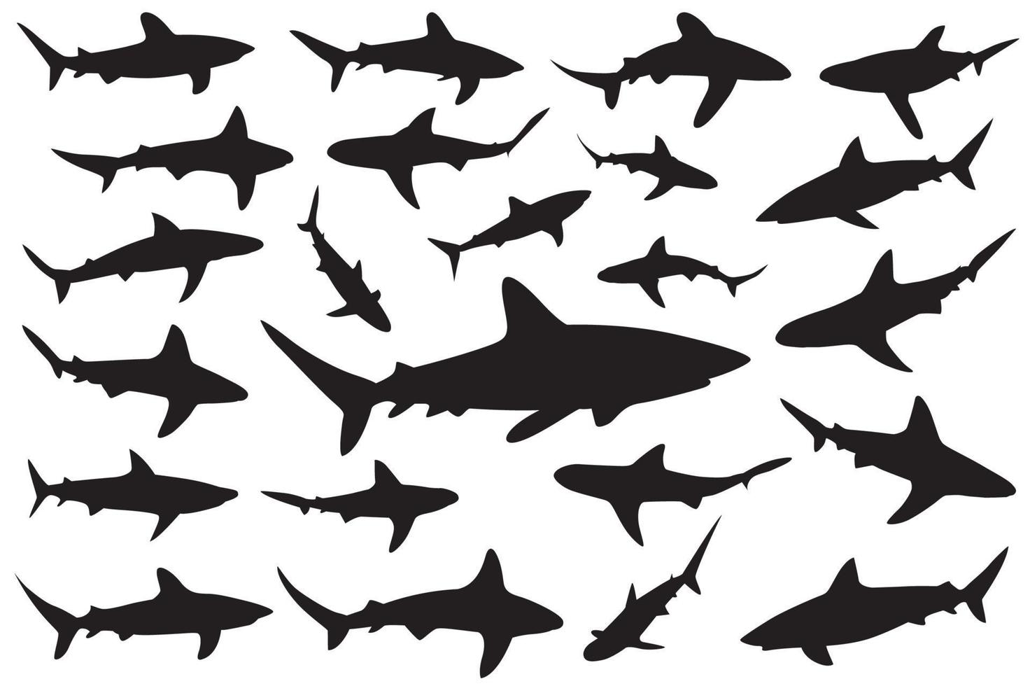 shark silhouette, Set of sharks. collection of silhouettes of predatory swimming marine fish vector