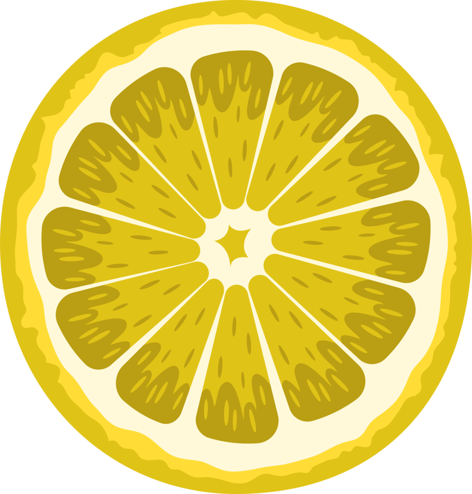 Citrus clipart design illustration png