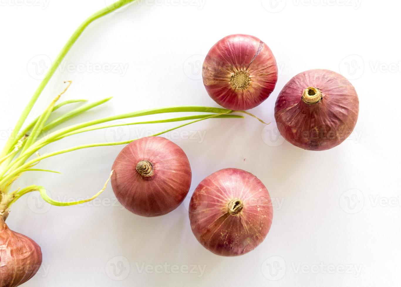 Thai red onion or Shallots. Fresh purple shallots on white background.  Selected focus. Concept of spices in healthy cooking 9629788 Stock Photo at  Vecteezy