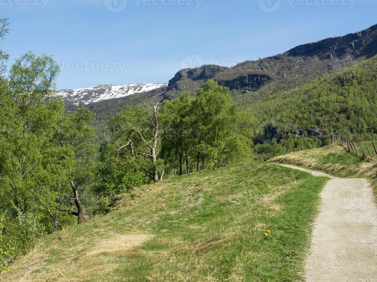 flam y el aurlandsfjord en noruega foto