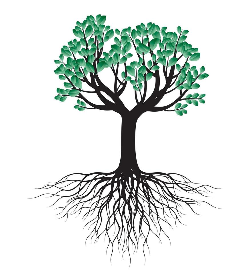 Green spring Tree with Roots. Vector Illustration.