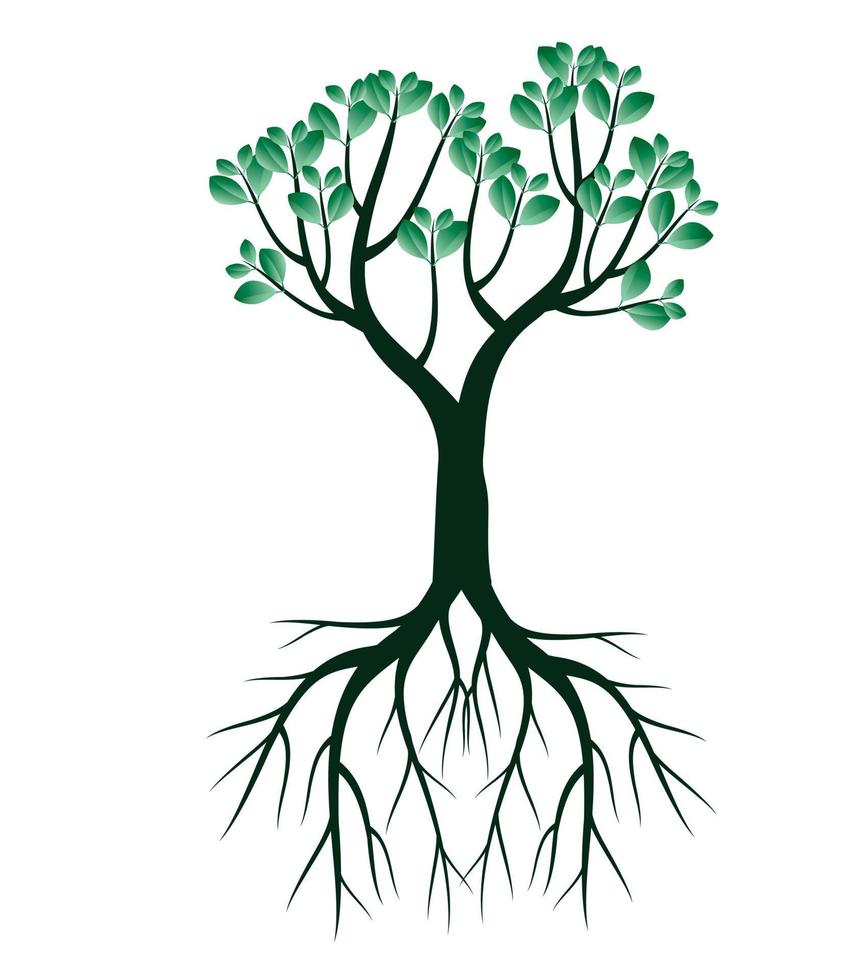 Green spring Tree with Roots. Vector Illustration.