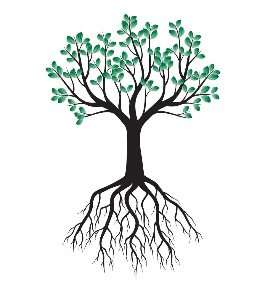 Green spring Tree with Roots. Vector Illustration.