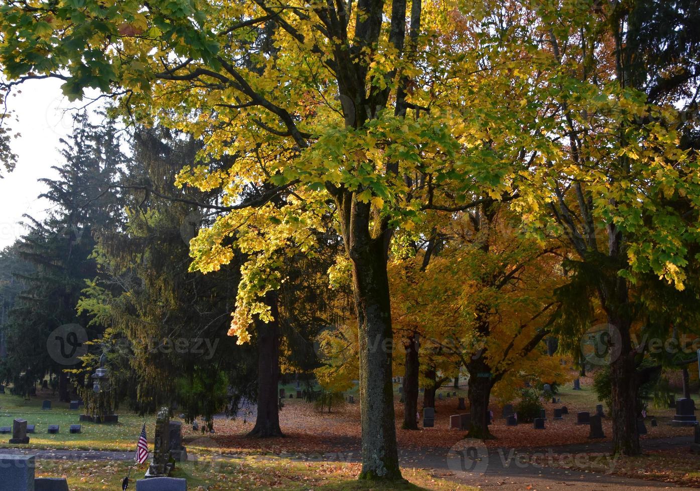 Leaves Turning on Trees in a Cemetery photo