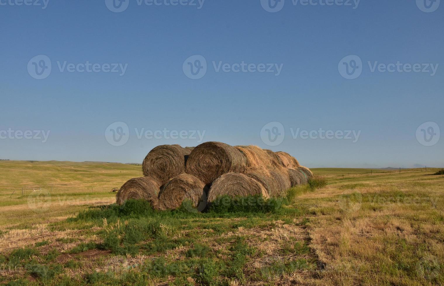 Rural Landscape with Stacked Bails of Hay photo