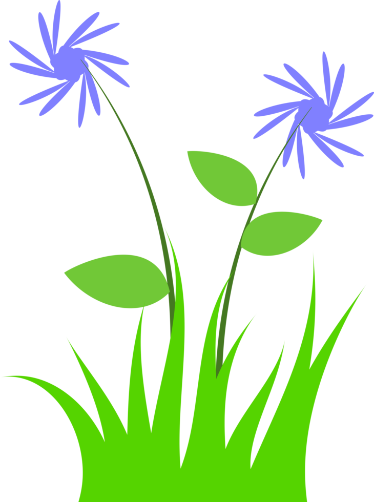 grass, grass flower. summer grass png