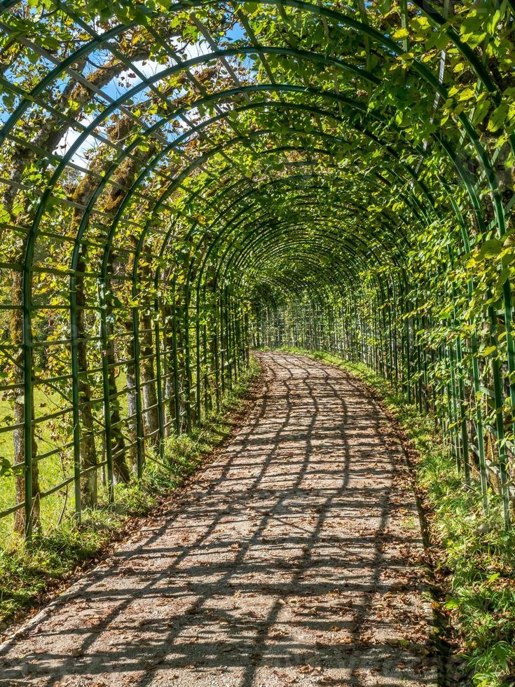 Garden passage in Linderhof palace photo