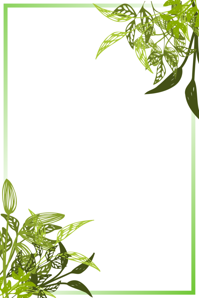 cadre d'herbe png