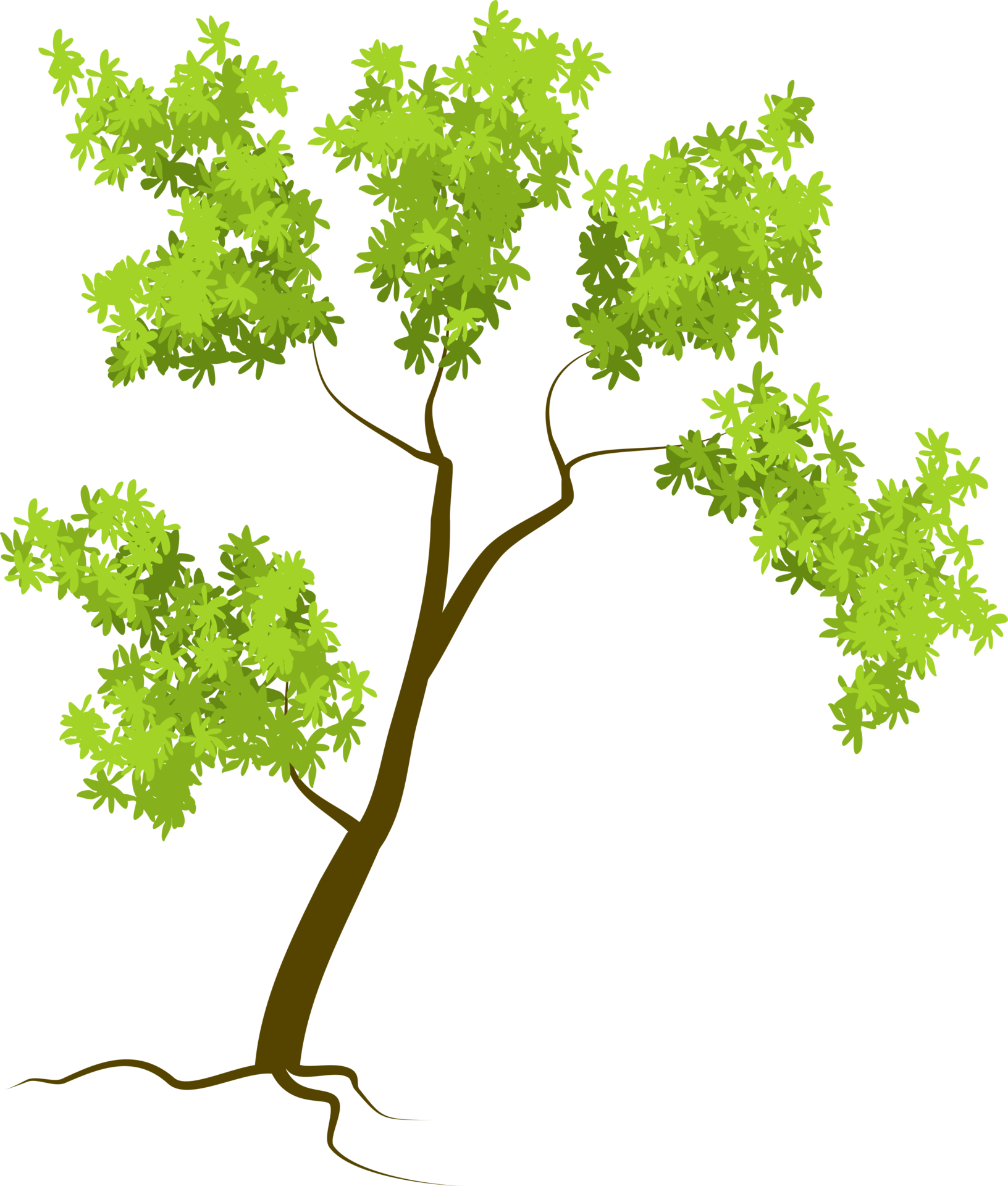 Tree Forest Tree 9635890 PNG Tree Forest Tree 9635890 PNG