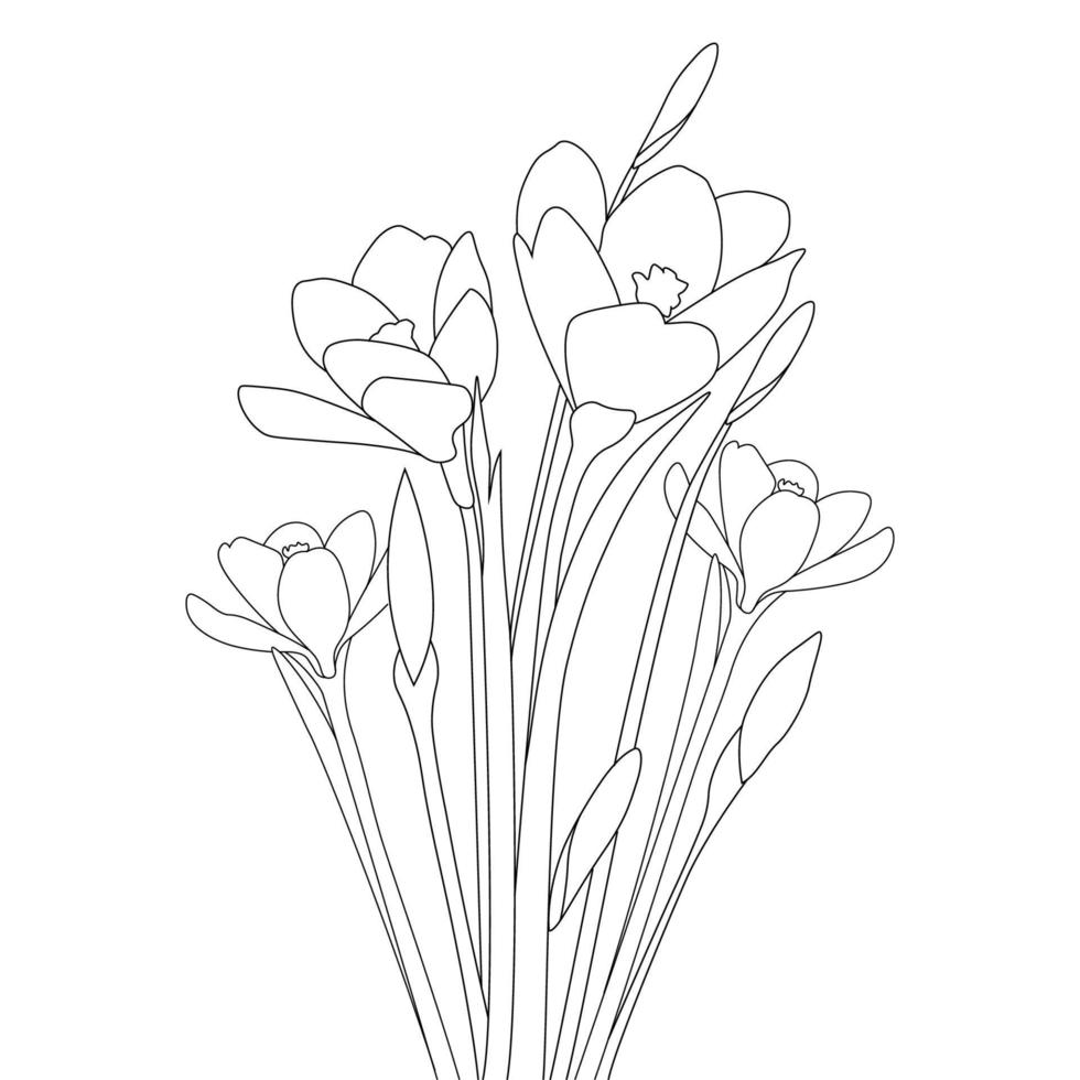 crocus flower coloring page and with saffron flower hand drawn line art design on black background vector