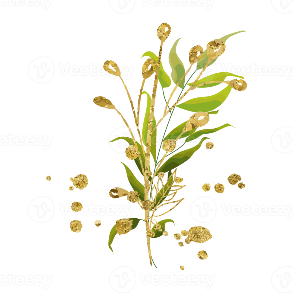 Transparent Floral Element png