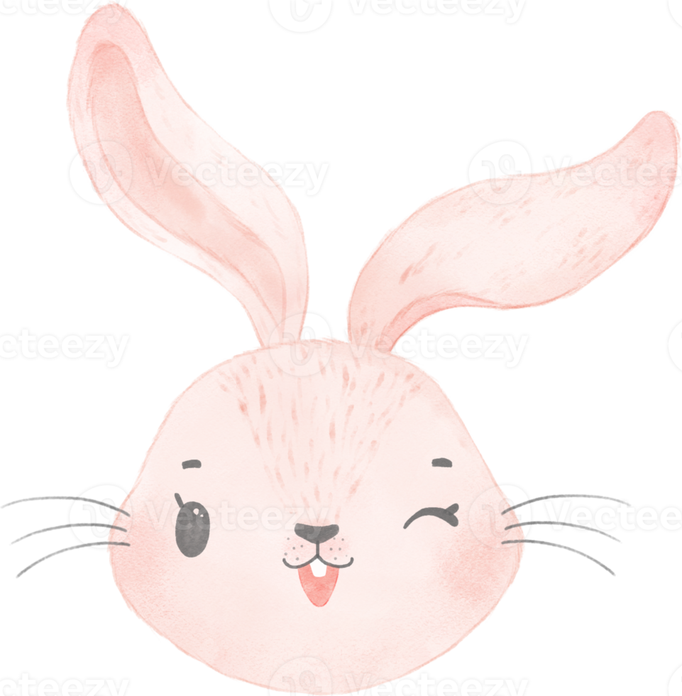 simpatico coniglio acquerello coniglio faccia testa animale cartone animato png