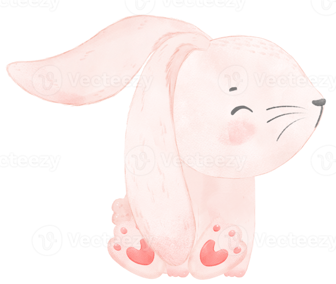 cute watercolor pink baby rabbit bunny cartoon animal hand painting png