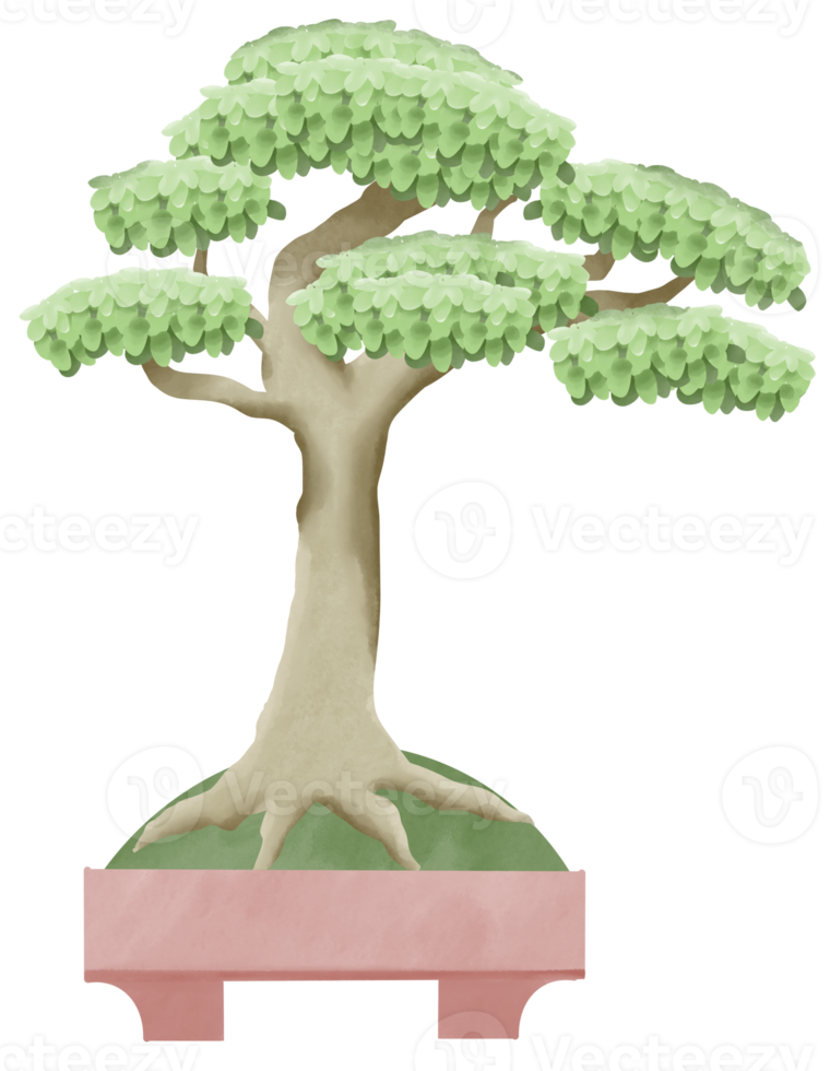 bonsai-baum topfpflanze aquarellmalerei illustration isolierte sammlung. japanischer antiker baum spirituelles zen png