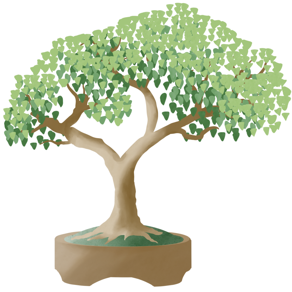 bonsai albero foglia verde pianta in vaso pittura ad acquerello illustrazione collezione isolata. zen spirituale dell'albero antico giapponese png