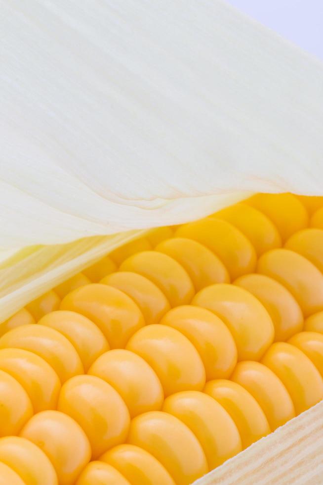 Grains of ripe corn macro image photo