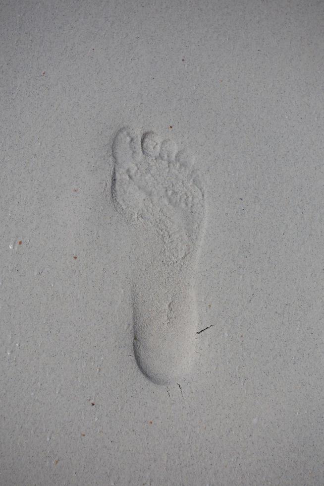 Singel footprint on sand beach photo