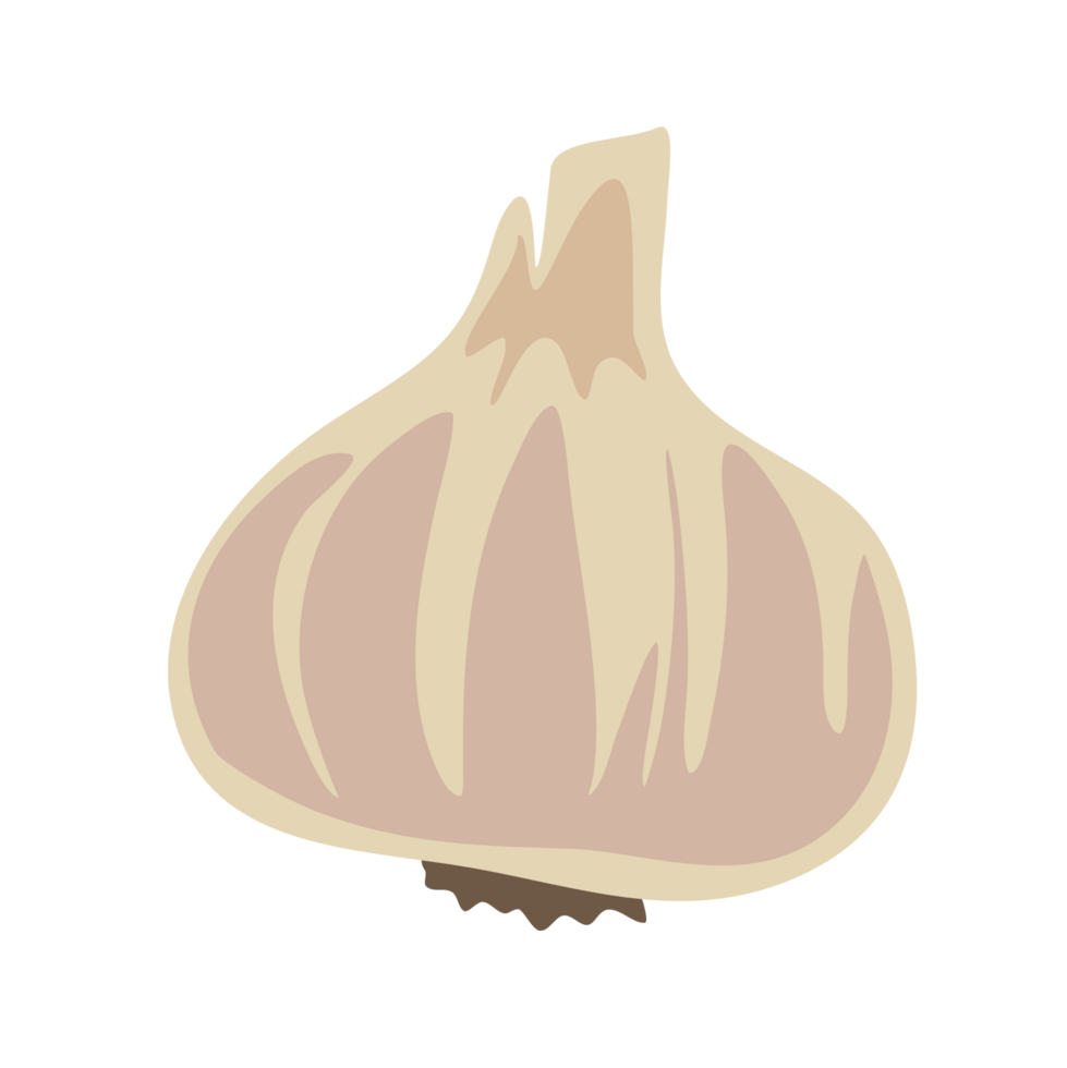 brightly colored vegetable garlic PNG file