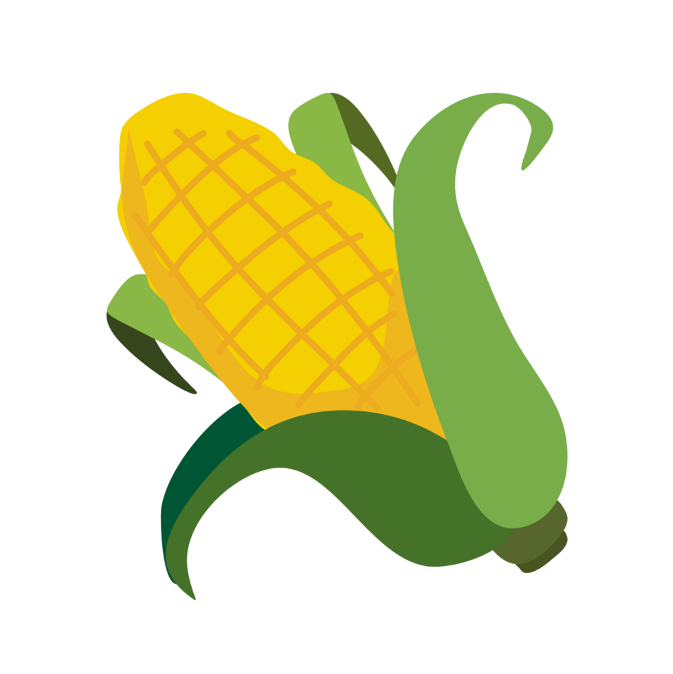 bright yellow vegetable corn PNG file