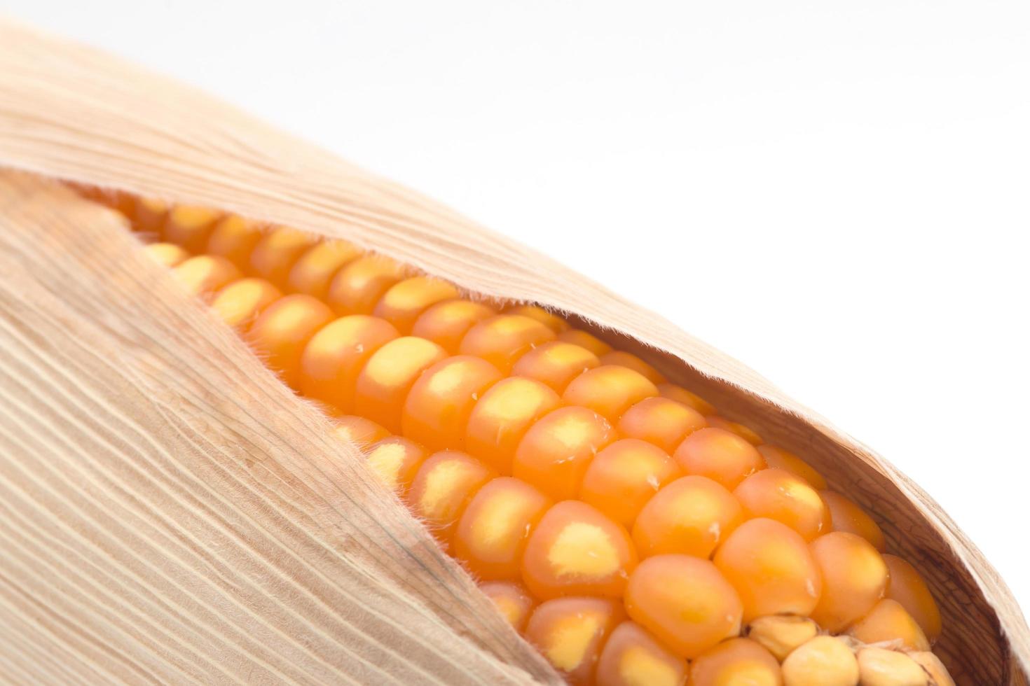 close up of the corn photo