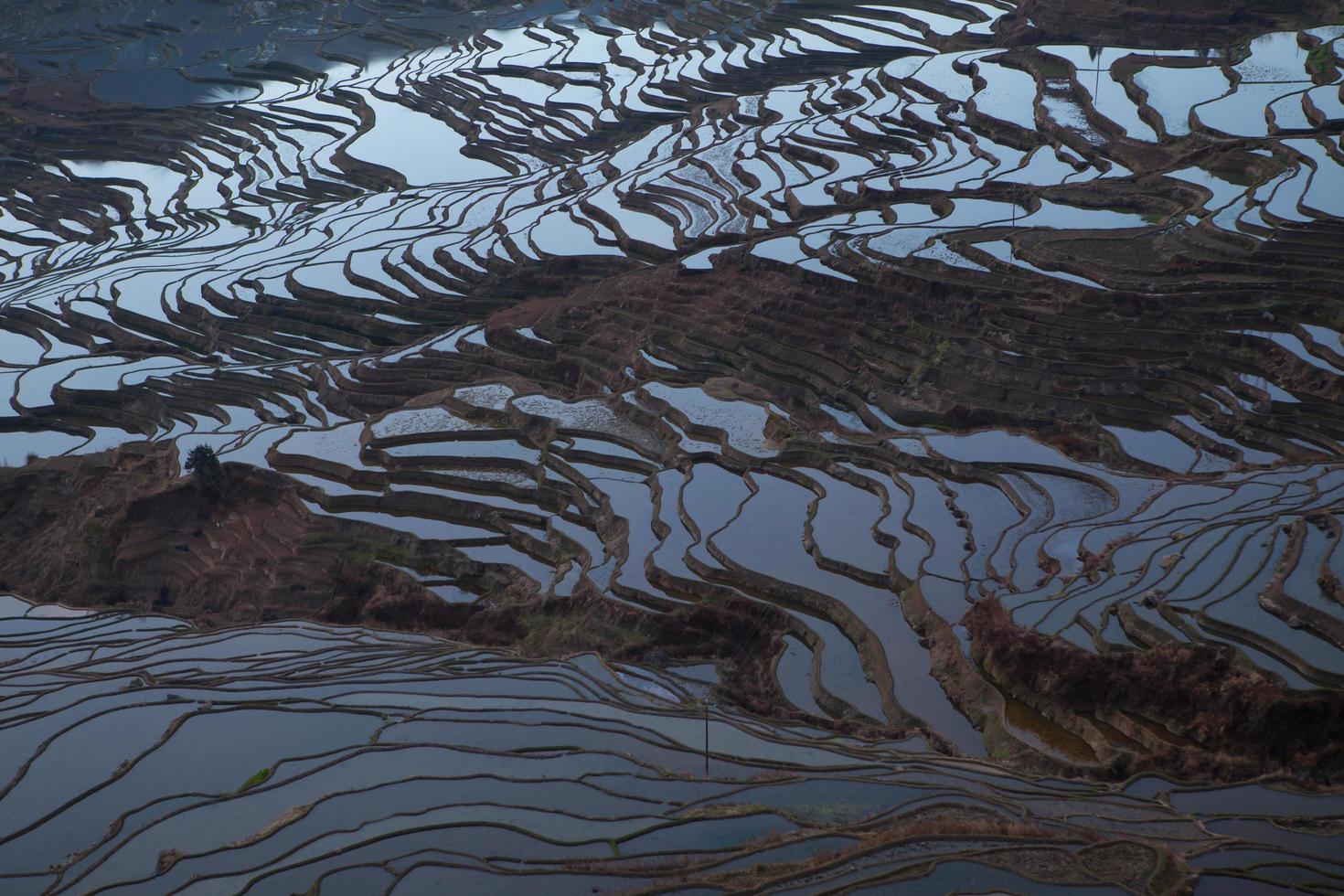 View of Yuan Yang Rice terraces with sunrise photo