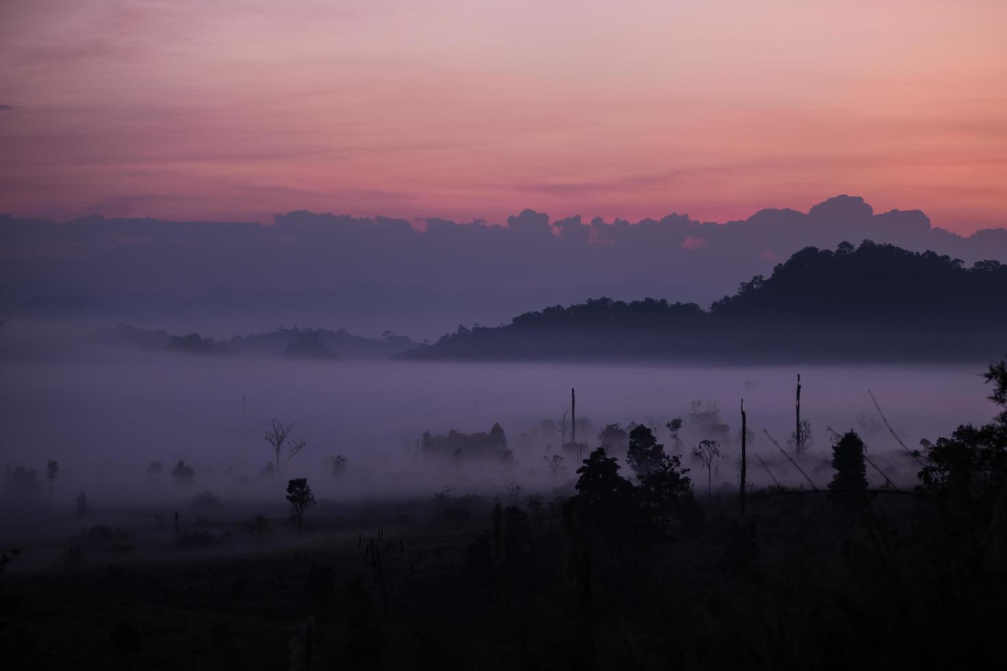 Fog mountain in the early morning sunrise photo