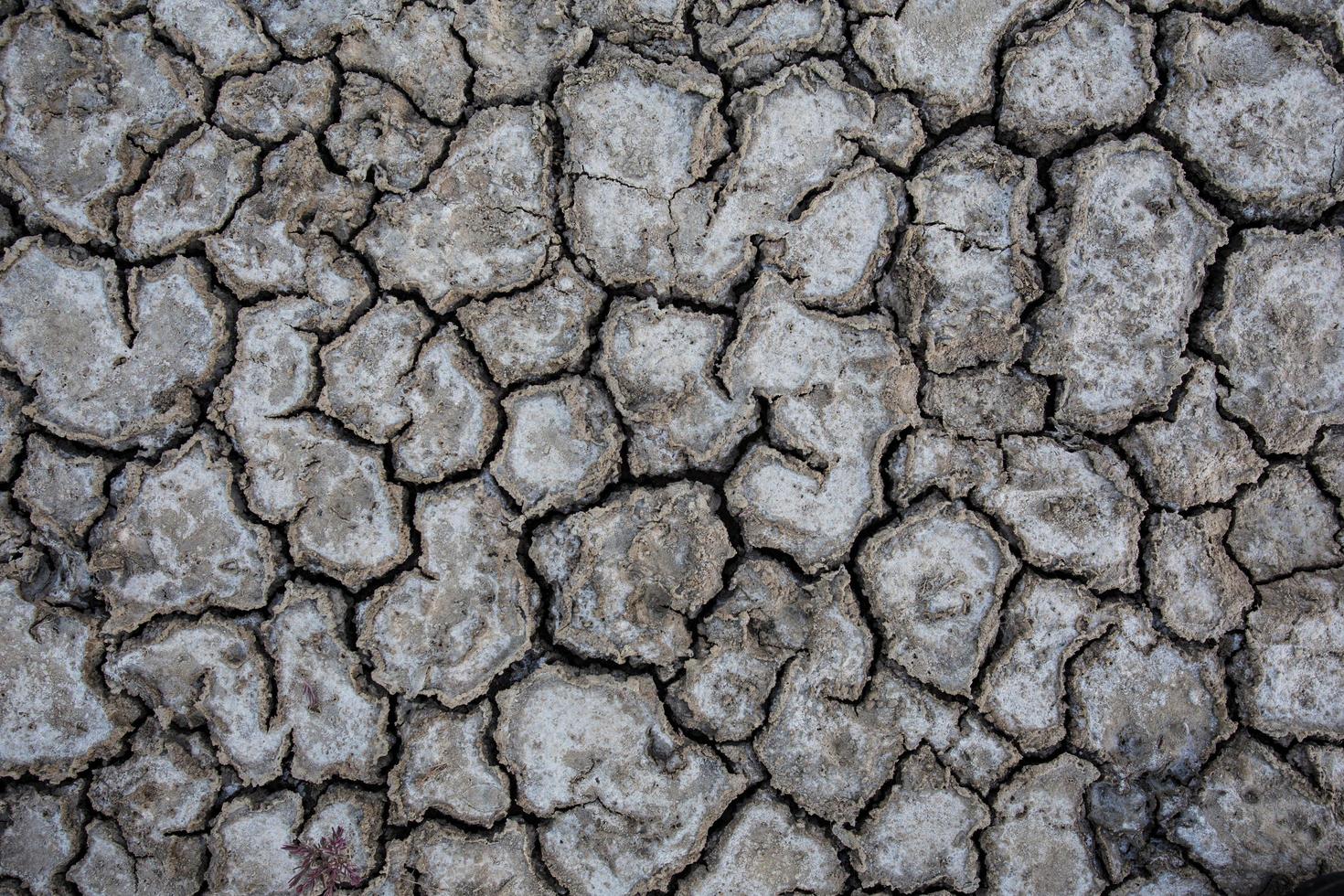 Background of dry cracked soil dirt or earth during drought photo