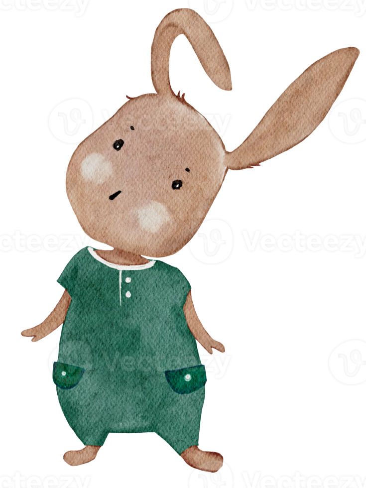 schattig konijn water kleur hand verf, cartoon hand getrokken bunny karakter ontwerpelement voor Pasen wenskaart, uitnodiging, lente, zomer poster, illustratie geïsoleerd op transparante achtergrond png