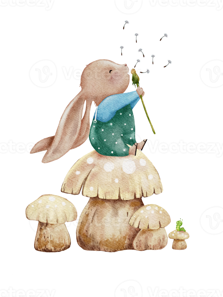 Free Water colour Cute Rabbit sitting on mushroom blowing dandelion  flower,Hand paint Cartoon bunny character for Easter greeting card, Spring,  Summer poster,Vector illustration on transparent background 9637996 PNG  with Transparent Background