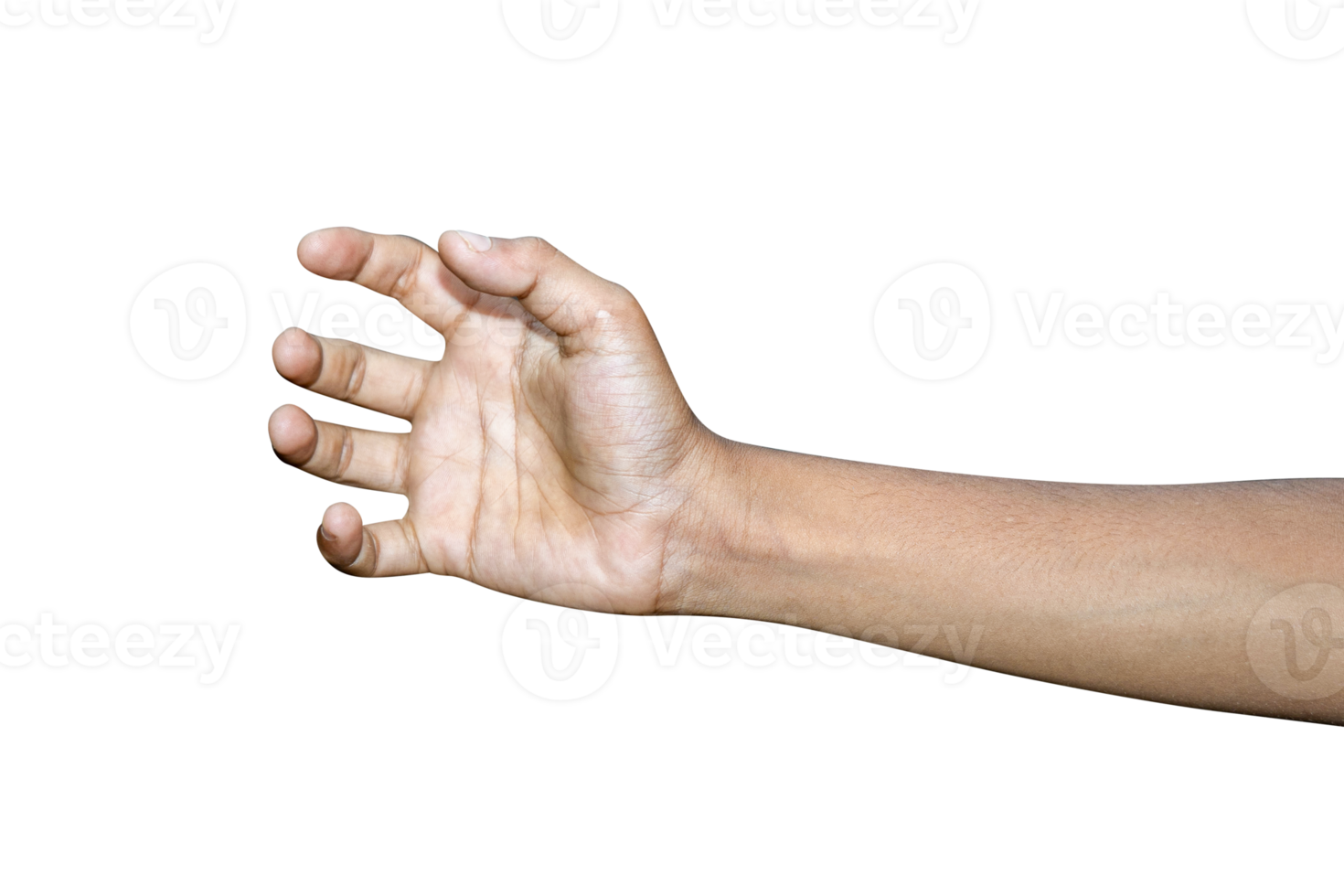 Hands isolated on white background png
