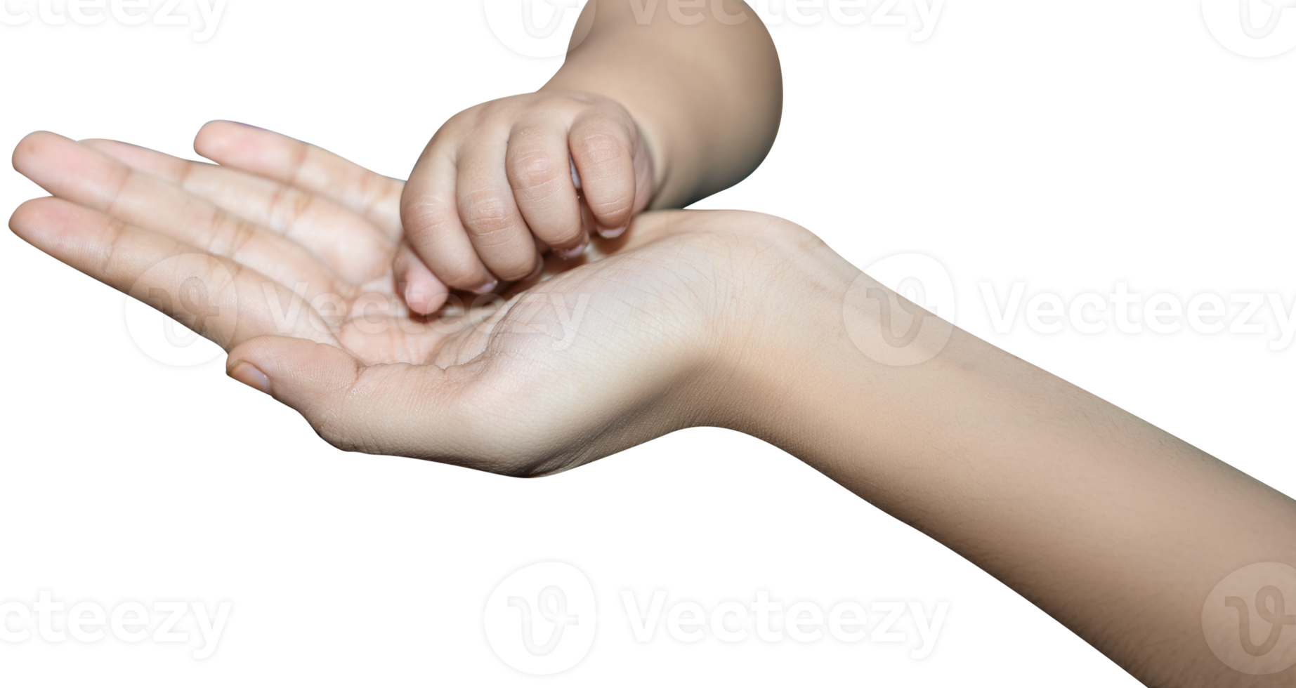 Mother Holding Hands Baby, new png