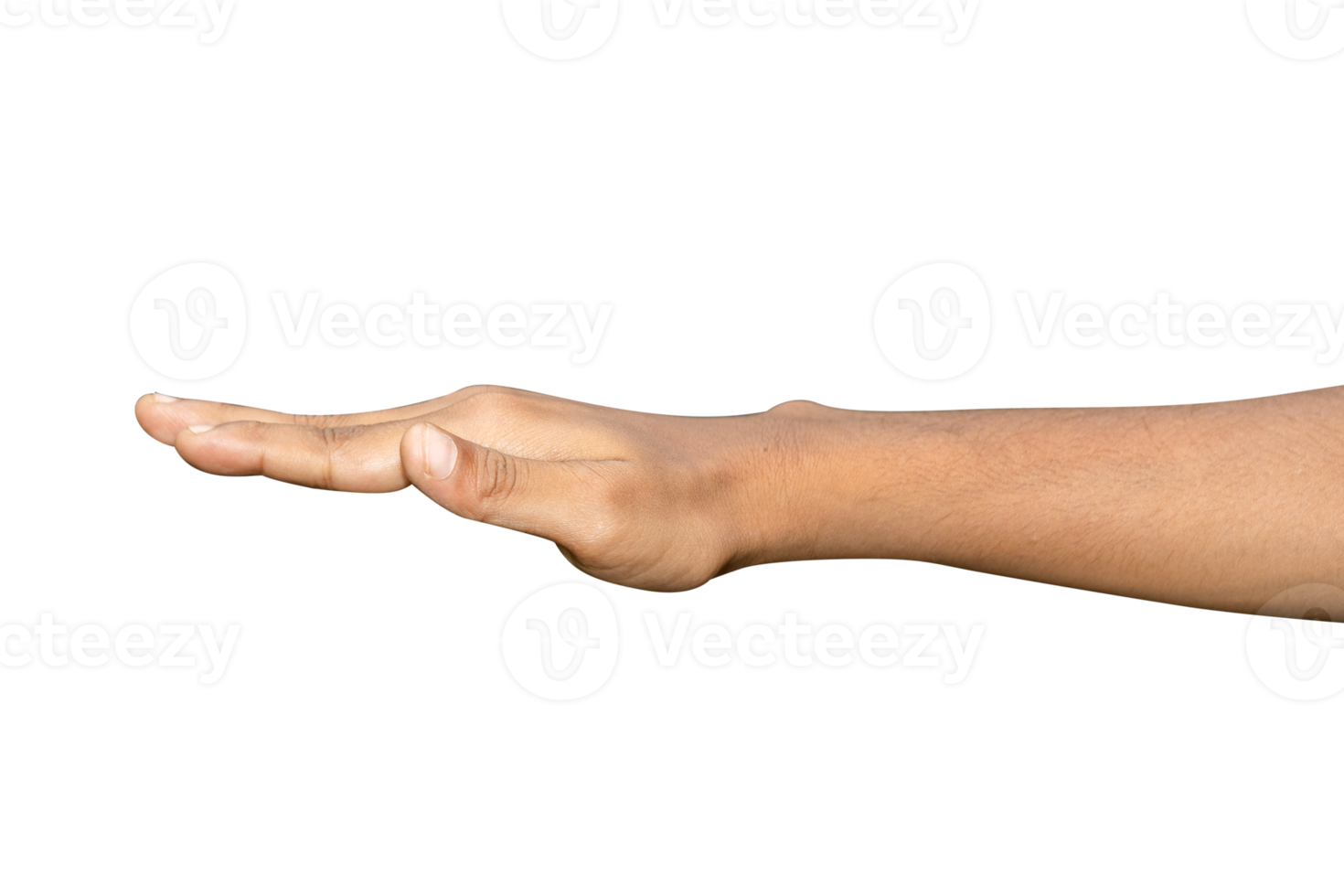 Hands isolated on white background png