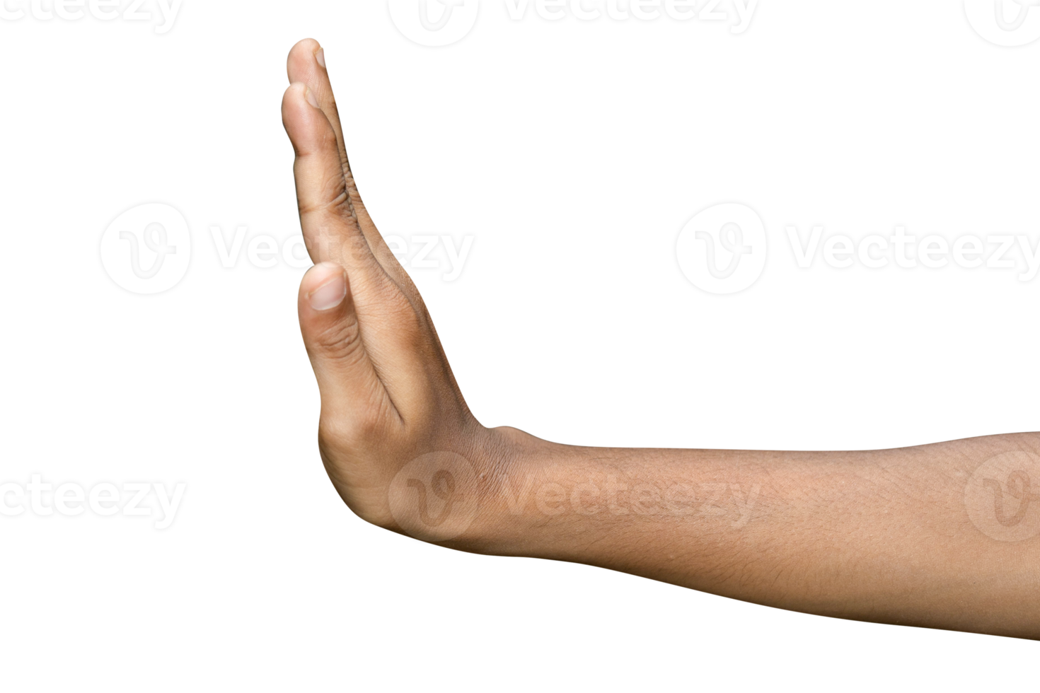 Hands isolated on white background png