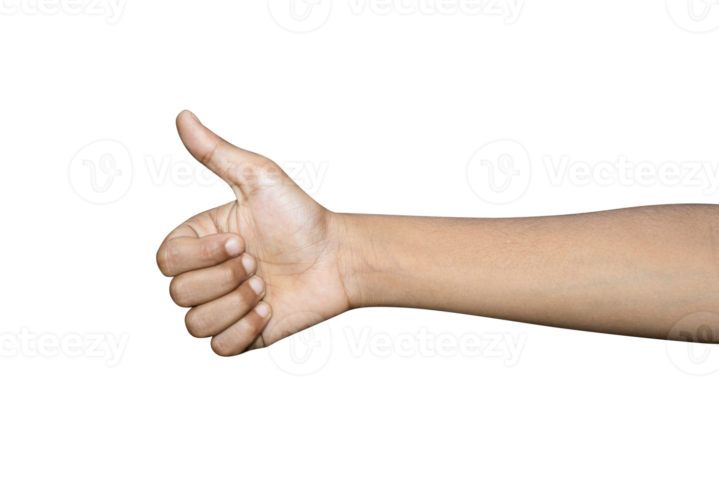 Hands isolated on white background png