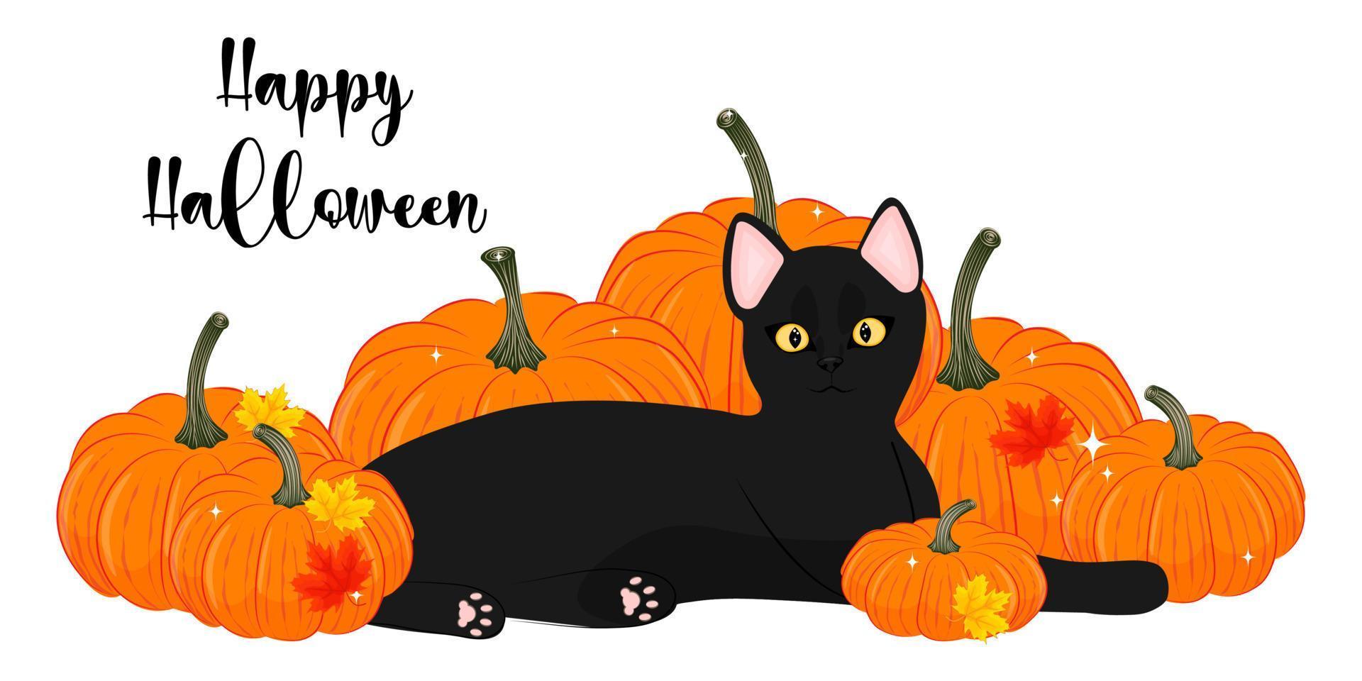 gato negro con calabazas, feliz halloween, ilustración vectorial vector
