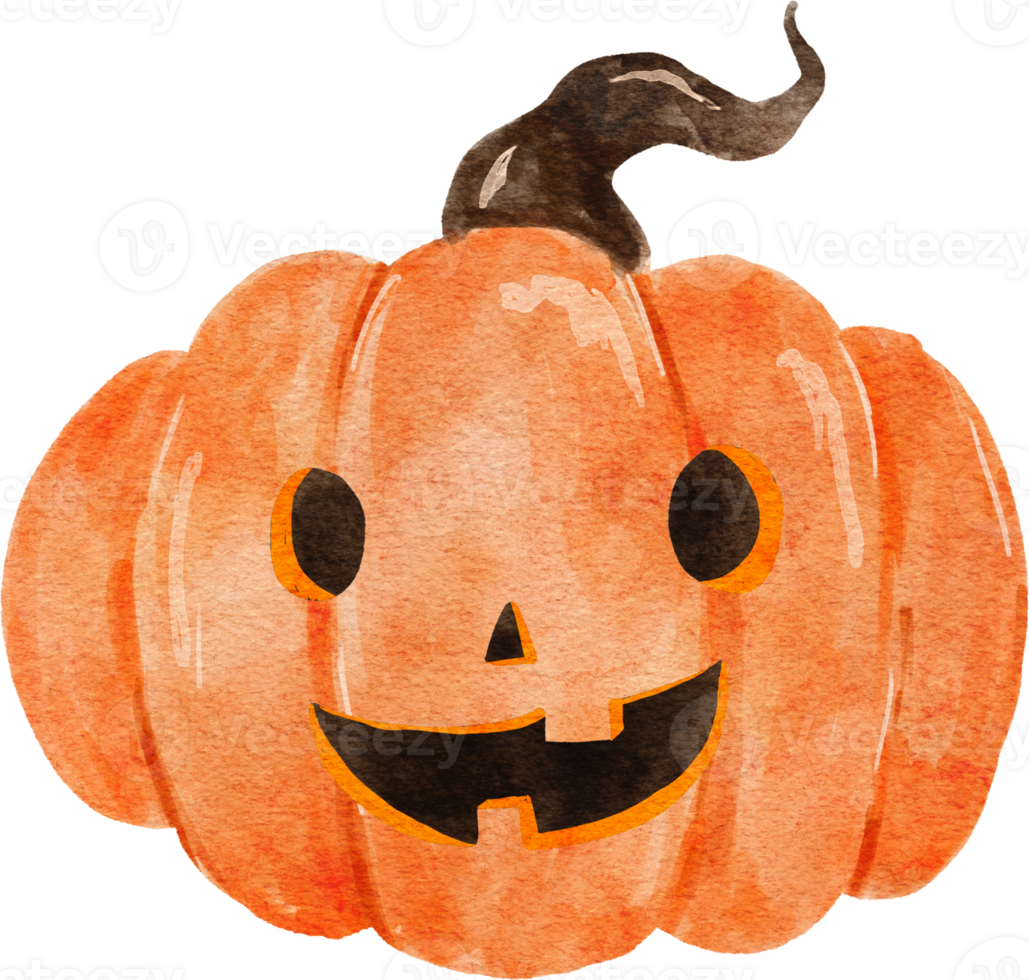 Pumpkin Halloween Watercolor Illustration png