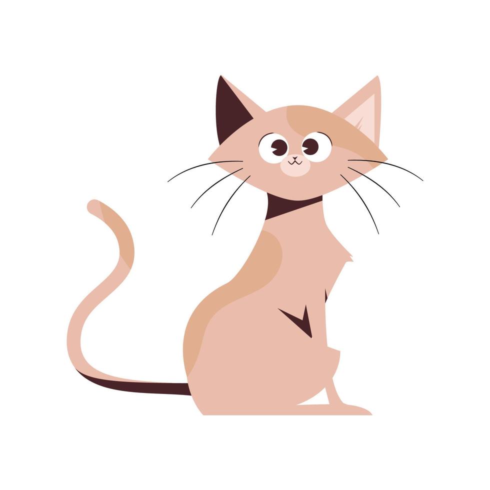 ilustración plana de gato vector
