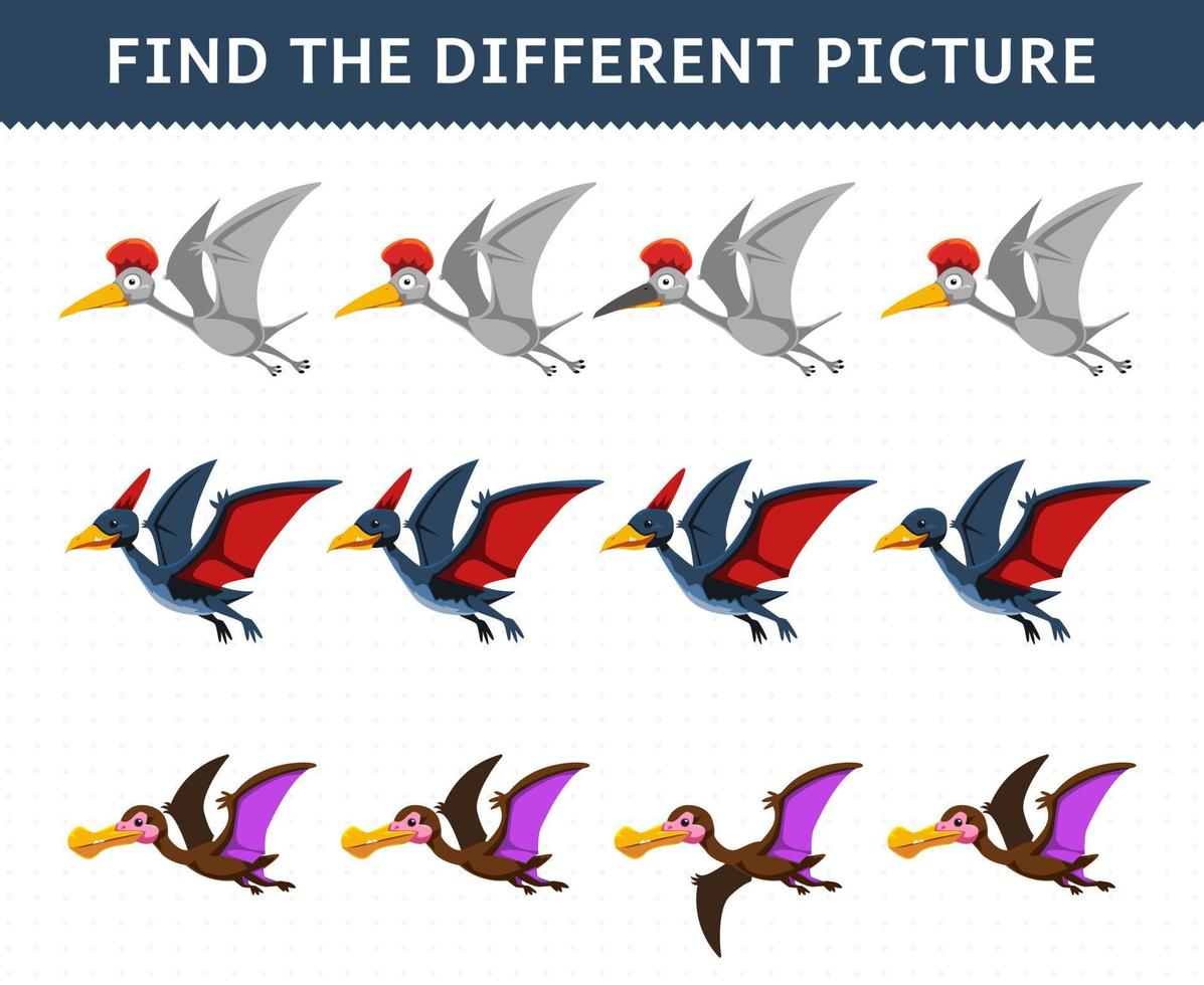 Education game for children find the different picture in each row cartoon prehistoric flying dinosaur pteranodon hatzegopteryx vector