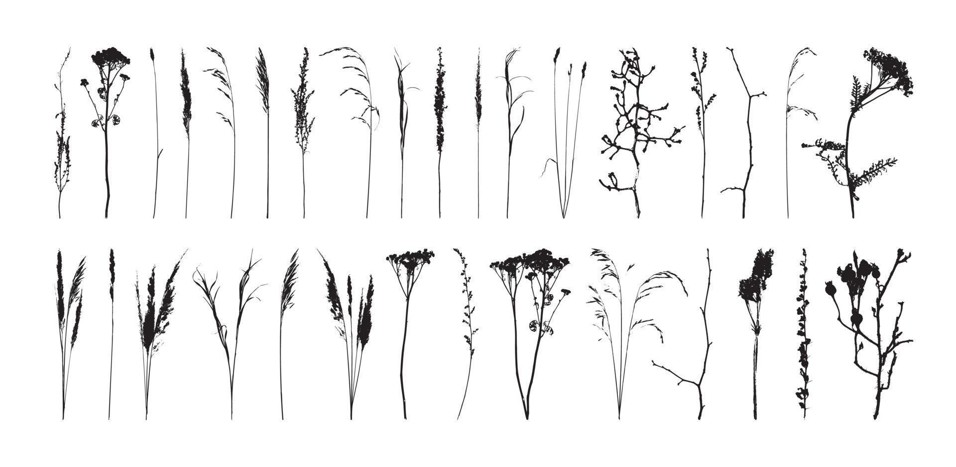 Set of Branches vector