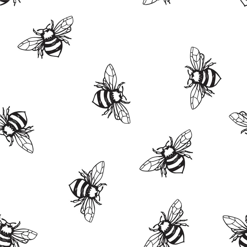 seamless pattern with bees. minimalistic print with bees drawn by lines on a white background. black and white repeating pattern vector